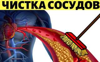 Как чеснок очищает сосуды и улучшает кровообращение