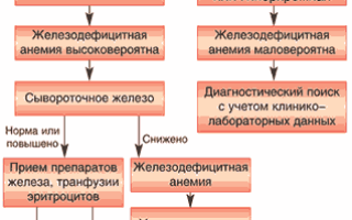 Эффективные методы лечения гиперхромной анемии