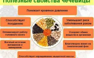 Зеленая чечевица — польза для здоровья и организма