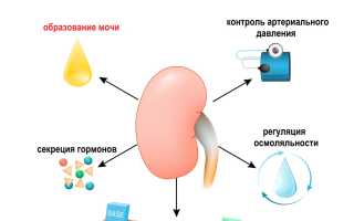 Причины развития уремической комы