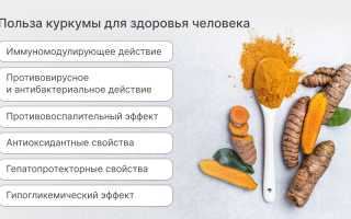 Польза куркумина — для чего его принимают