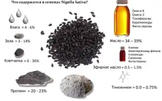 Лечебные свойства и применение масла черного тмина