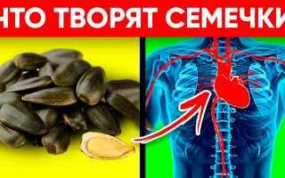 Семена подсолнечника — польза для здоровья