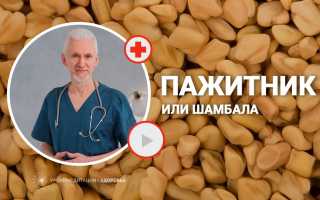 Полезные свойства пожитника