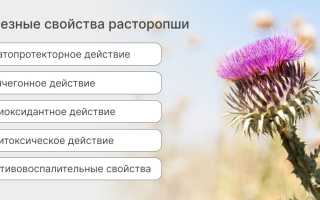 Лечебные свойства семян расторопши