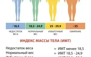 Похудеть на 10 кг за месяц — эффективные способы убрать живот, бока и ляшки