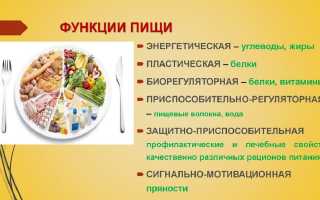 Роль жиров в обеспечении организма энергией