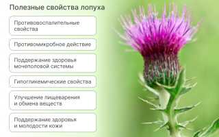 Применение лопуха при различных заболеваниях