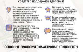 Лен — польза и вред семян для здоровья